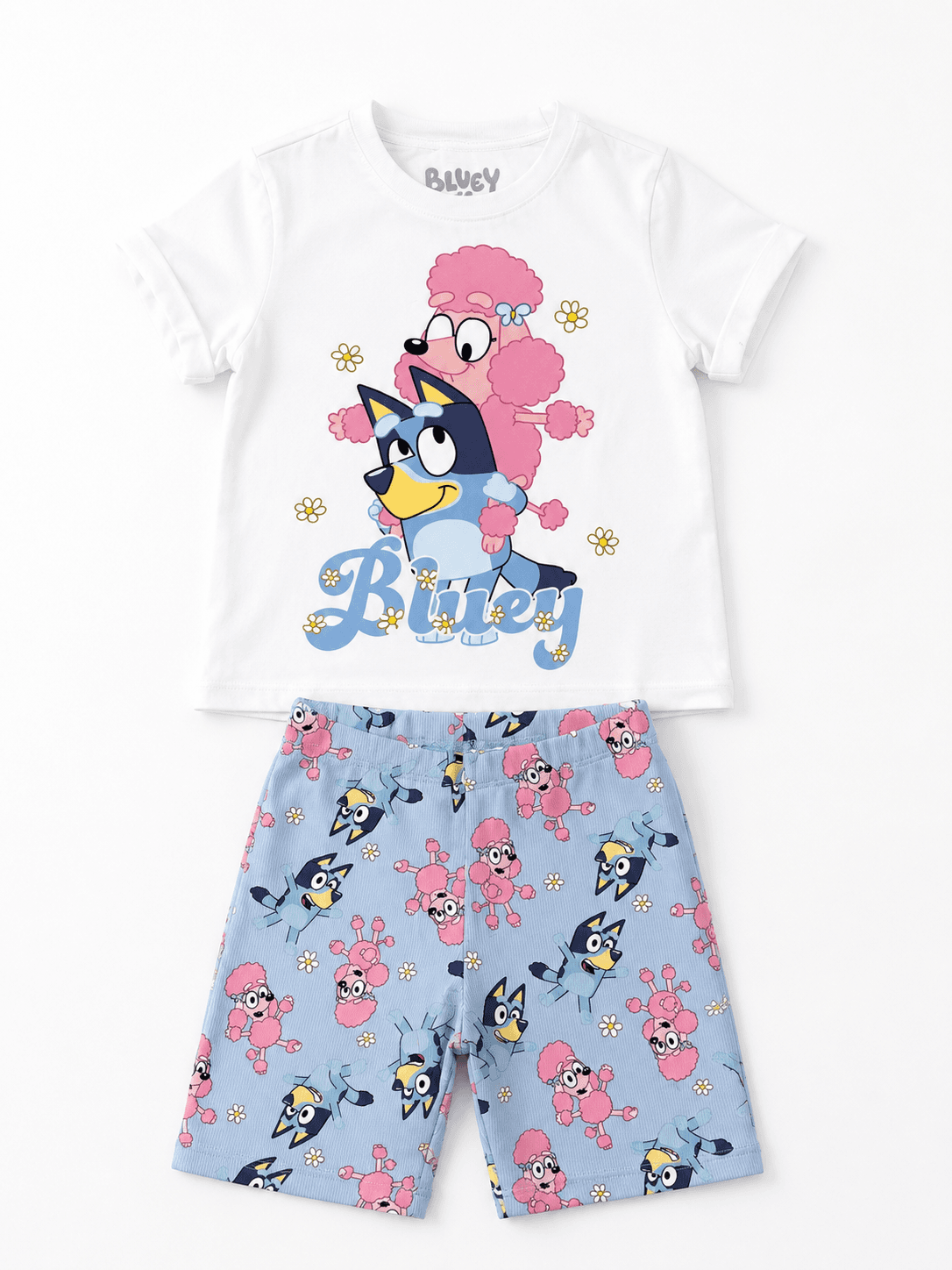 Ensemble Bluey